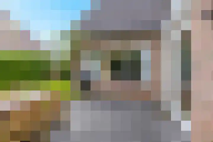 Fazantstraat 25 Beneden-Leeuwen thumbnail 6
