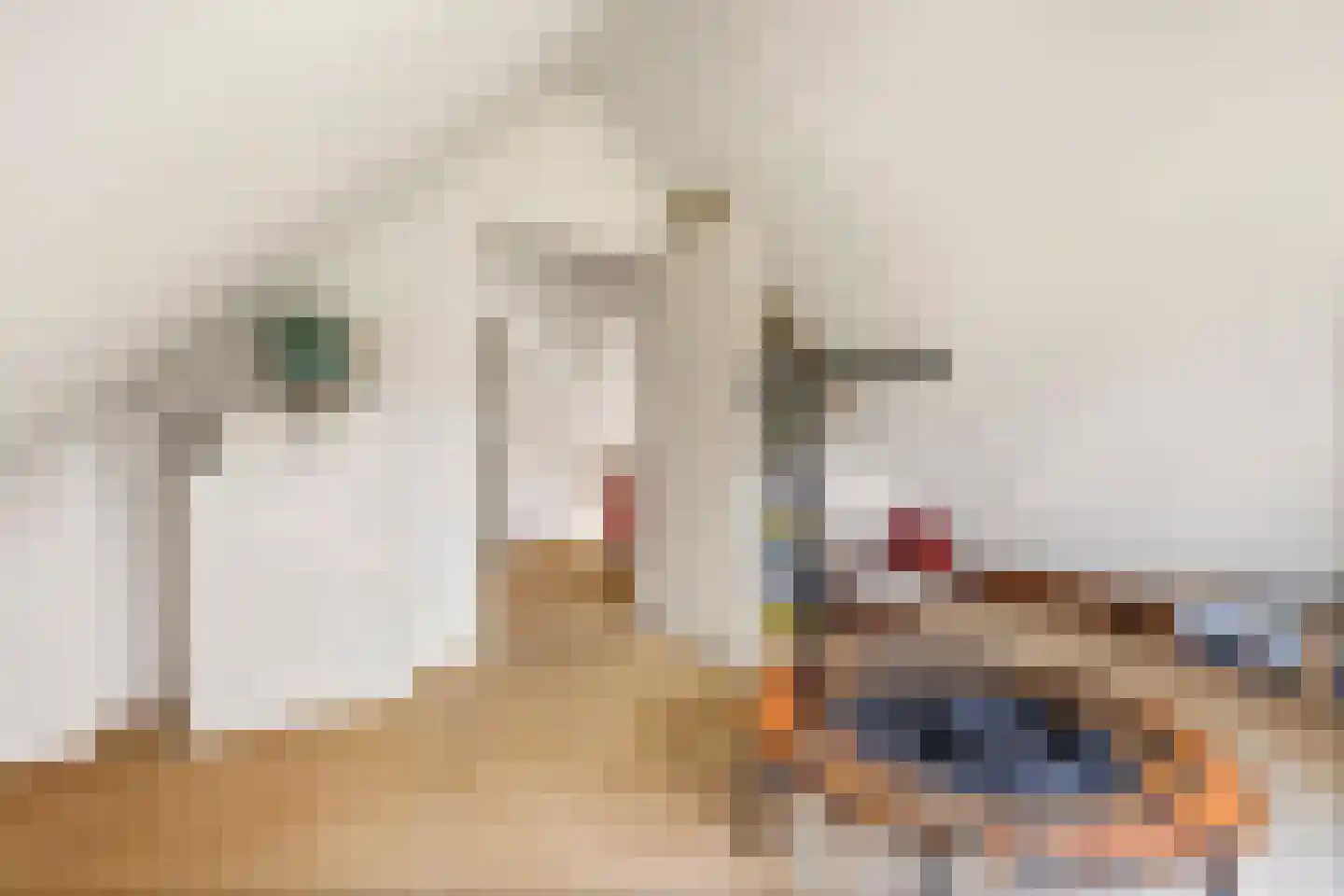 Fazantstraat 27 Culemborg thumbnail 35