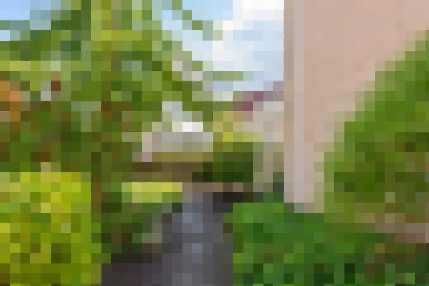 Fazantstraat 27 Culemborg thumbnail 43