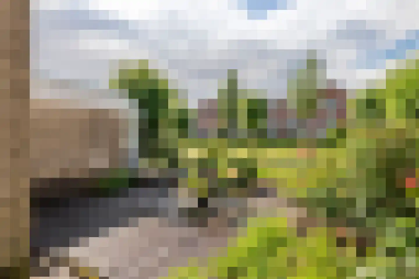 Fazantstraat 27 Culemborg thumbnail 45