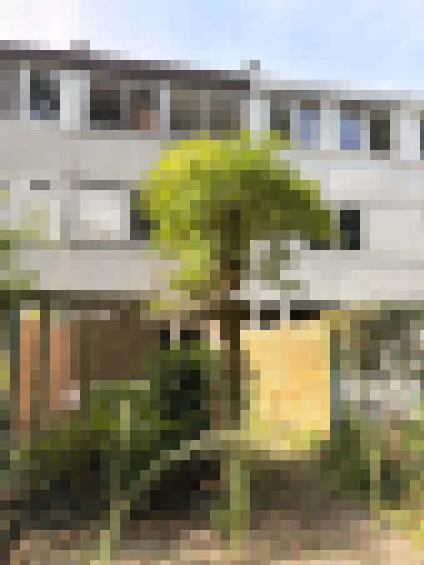 Fazantstraat 27 Sittard thumbnail 16