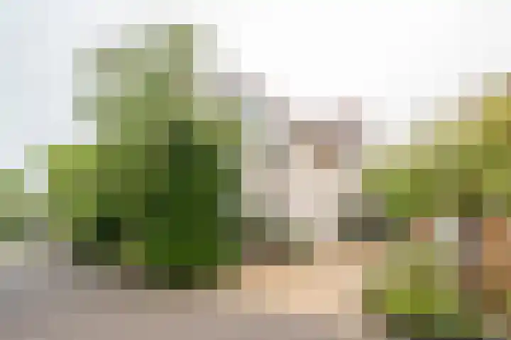 Fazantstraat 3 in Culemborg