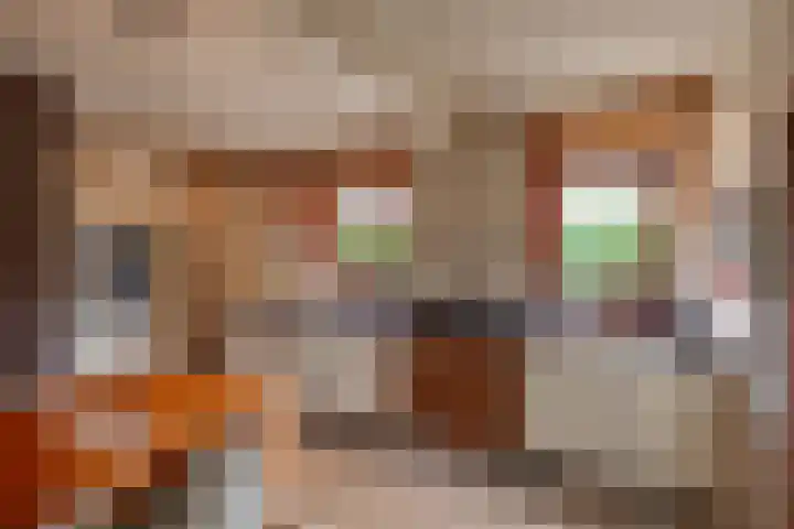 Fazantstraat 3 Appingedam thumbnail 14