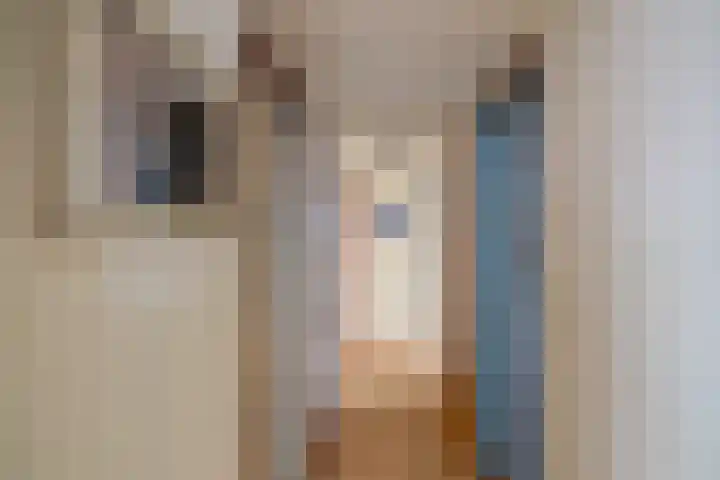 Fazantstraat 3 Appingedam thumbnail 18