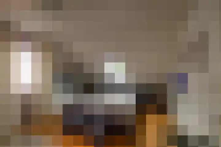 Fazantstraat 3 Appingedam thumbnail 21