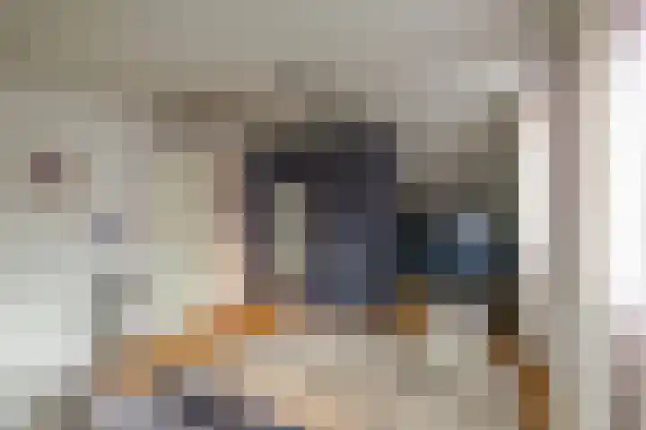 Fazantstraat 3 Appingedam thumbnail 22