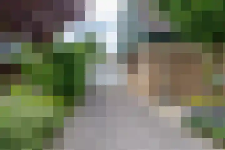 Fazantstraat 3 Appingedam thumbnail 25