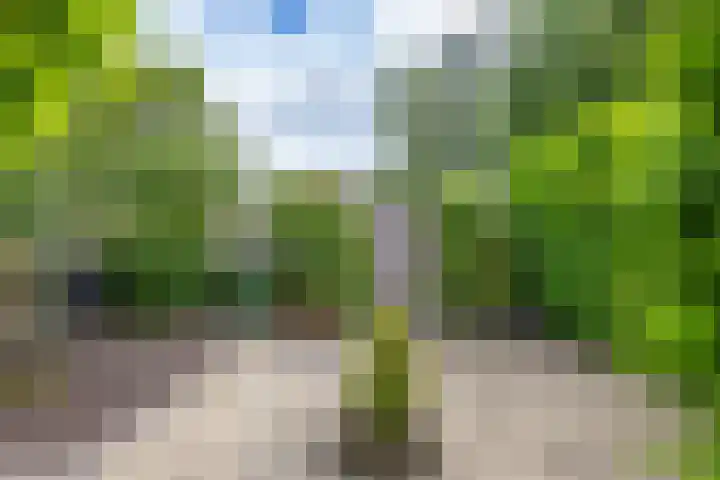 Fazantstraat 3 Appingedam thumbnail 27