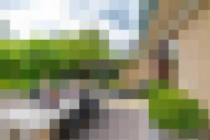 Fazantstraat 3 Appingedam thumbnail 32