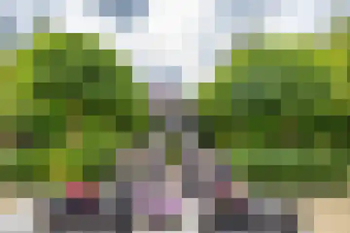 Fazantstraat 3 Appingedam thumbnail 33