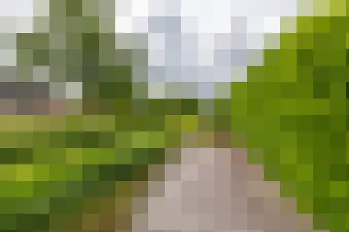 Fazantstraat 3 Appingedam thumbnail 34