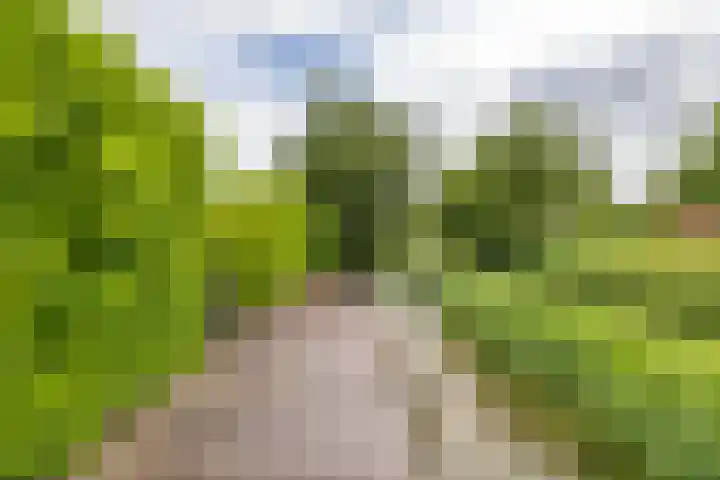 Fazantstraat 3 Appingedam thumbnail 35