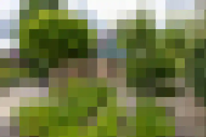 Fazantstraat 3 Appingedam thumbnail 36