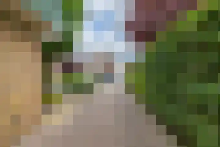 Fazantstraat 3 Appingedam thumbnail 38