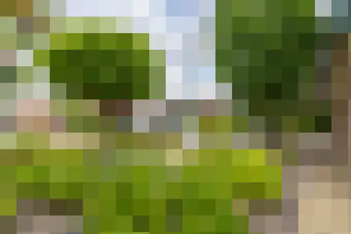 Fazantstraat 3 Appingedam thumbnail 39