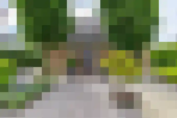 Fazantstraat 3 Appingedam thumbnail 4