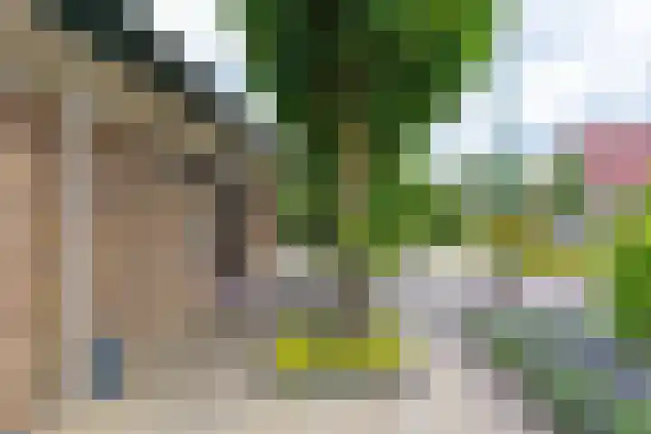 Fazantstraat 3 Appingedam thumbnail 40