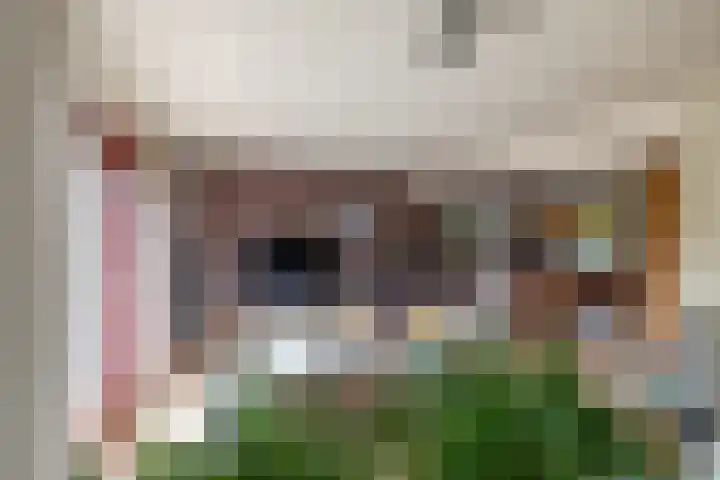 Fazantstraat 3 Appingedam thumbnail 9