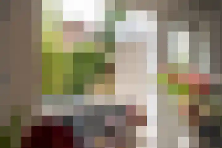 Fazantstraat 3 Culemborg thumbnail 21