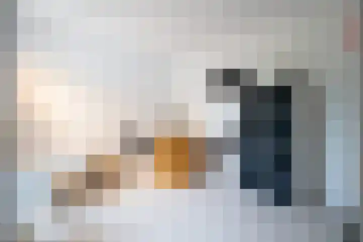 Fazantstraat 3 Culemborg thumbnail 22