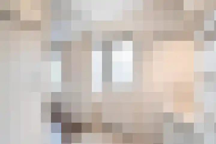 Fazantstraat 3 Culemborg thumbnail 31