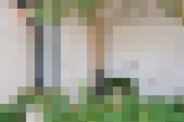 Fazantstraat 3 Culemborg thumbnail 50