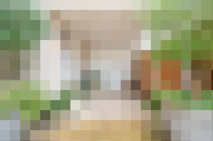 Fazantstraat 3 Culemborg thumbnail 51