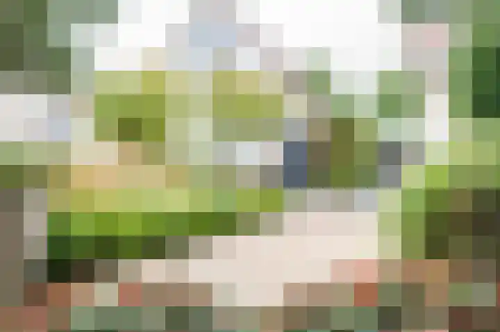 Fazantstraat 3 Culemborg thumbnail 53