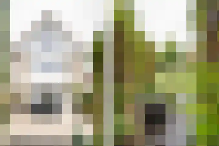 Fazantstraat 3 Culemborg thumbnail 55