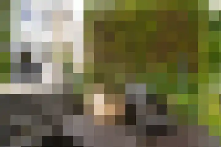 Fazantstraat 3 Culemborg thumbnail 56