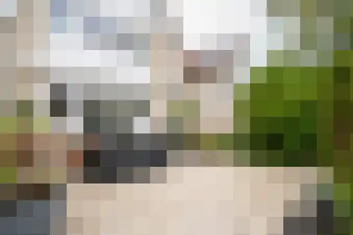 Fazantstraat 3 Culemborg thumbnail 57