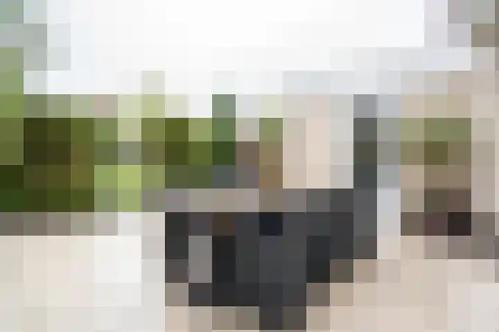 Fazantstraat 3 Culemborg thumbnail 58