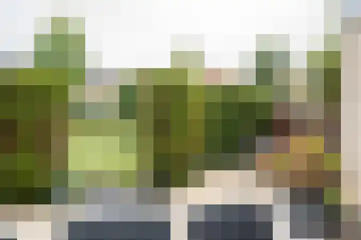 Fazantstraat 3 Culemborg thumbnail 59