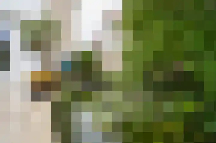 Fazantstraat 3 Culemborg thumbnail 60