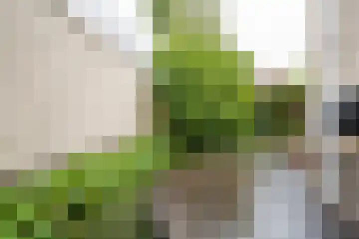 Fazantstraat 3 Culemborg thumbnail 61