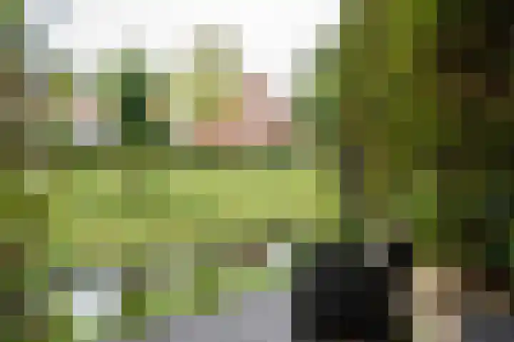 Fazantstraat 3 Culemborg thumbnail 62