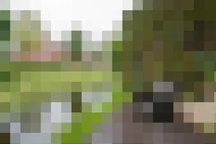 Fazantstraat 3 Culemborg thumbnail 63