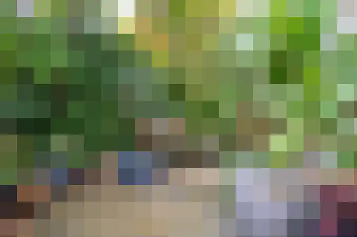 Fazantstraat 3 Culemborg thumbnail 65
