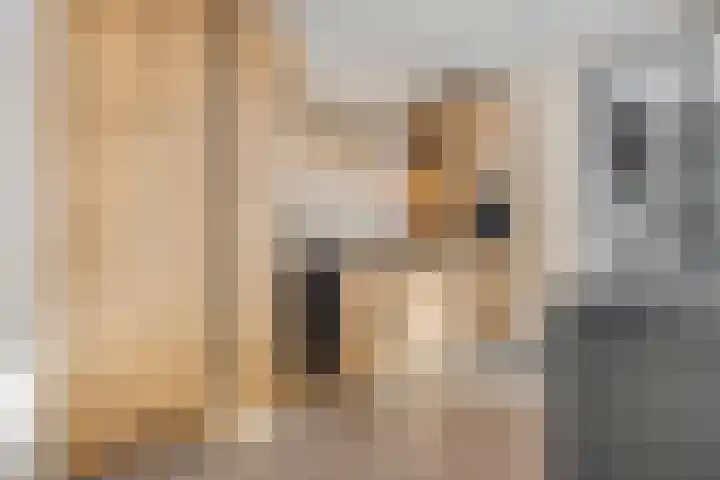 Fazantstraat 3 Wijchen thumbnail 14