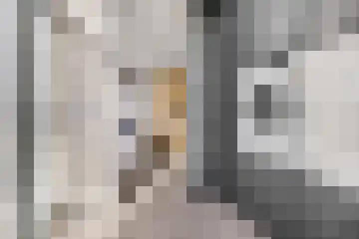 Fazantstraat 3 Wijchen thumbnail 17
