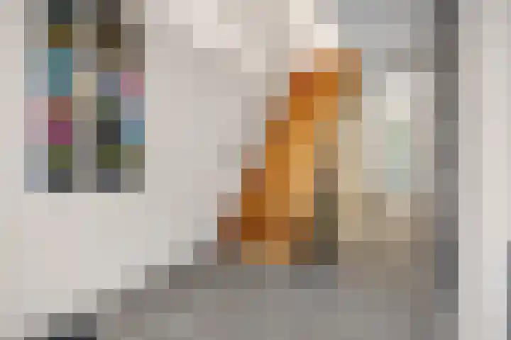 Fazantstraat 3 Wijchen thumbnail 20