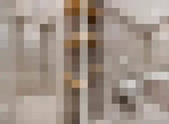 Fazantstraat 3 Wijchen thumbnail 29