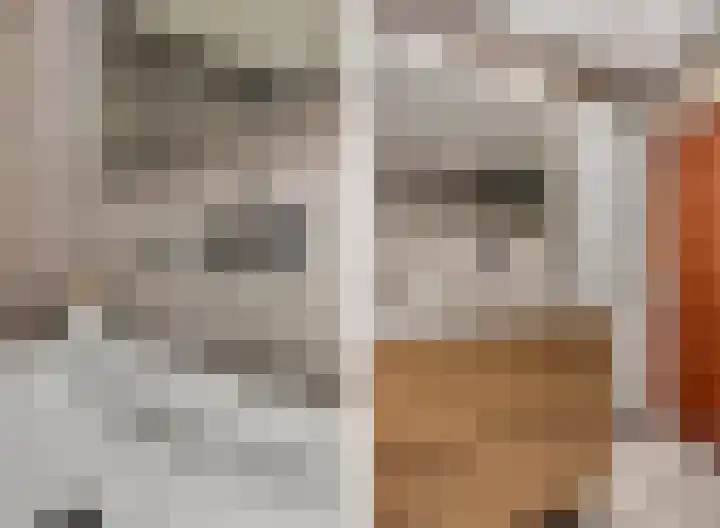Fazantstraat 3 Wijchen thumbnail 30