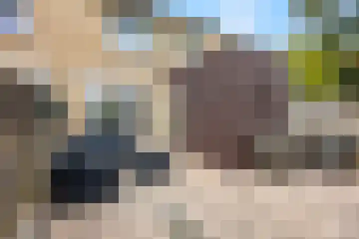 Fazantstraat 3 Wijchen thumbnail 45