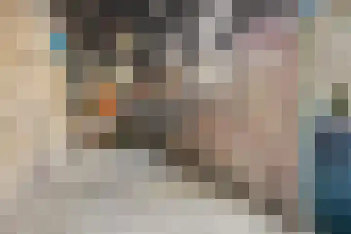 Fazantstraat 3 Wijchen thumbnail 47