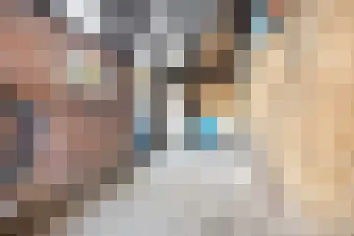 Fazantstraat 3 Wijchen thumbnail 48