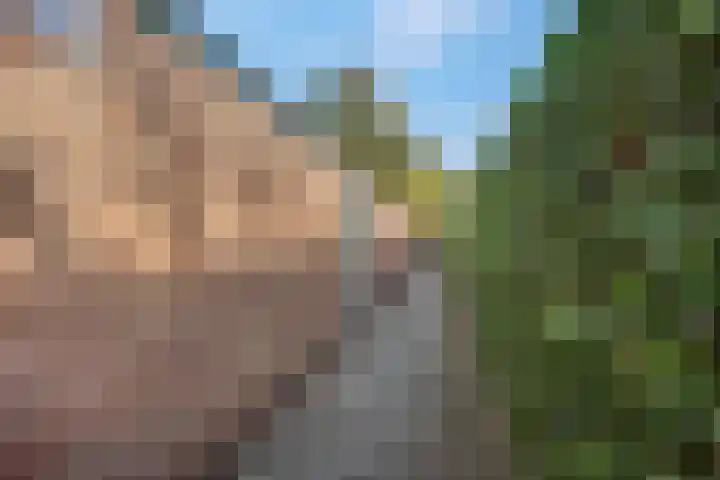 Fazantstraat 3 Wijchen thumbnail 49
