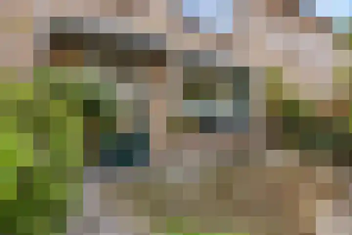 Fazantstraat 3 Wijchen thumbnail 51