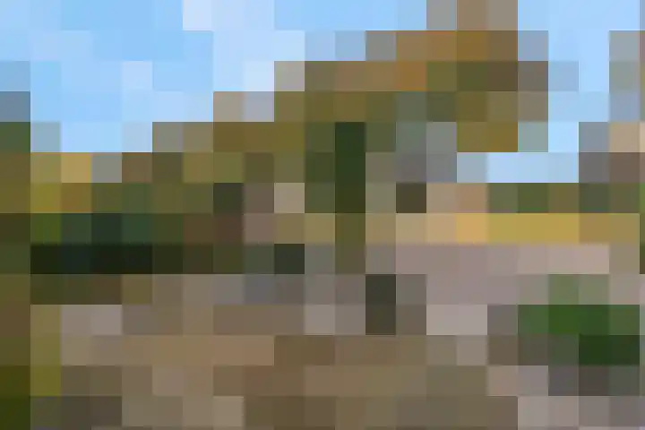 Fazantstraat 3 Wijchen thumbnail 52
