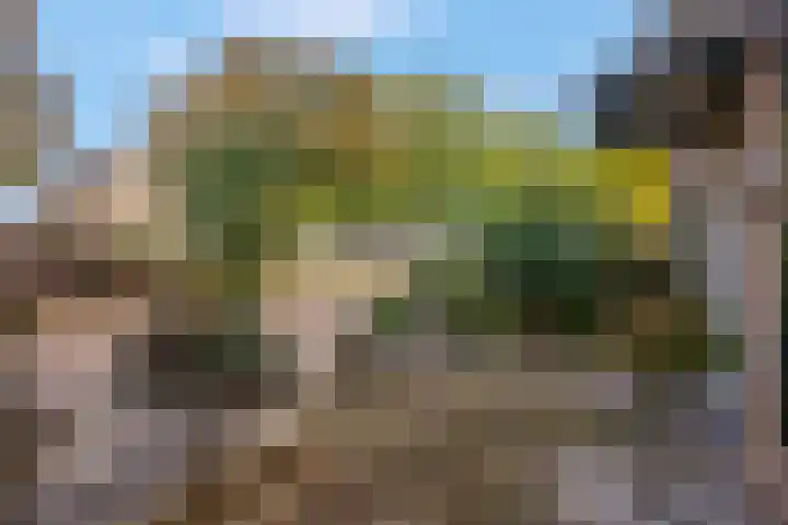 Fazantstraat 3 Wijchen thumbnail 53